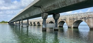 FDOT D6 Seven Mile Bridge Benthic Survey